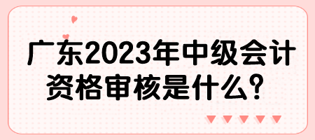 廣東2023年中級(jí)會(huì)計(jì)資格審核是什么？