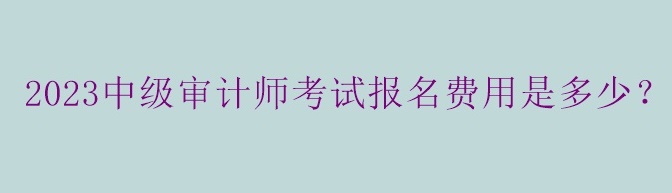 2023中級(jí)審計(jì)師考試報(bào)名費(fèi)用是多少？