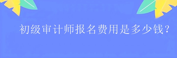 初級審計師報名費用是多少錢？