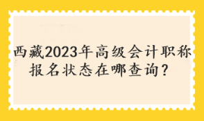 西藏2023年高級會計職稱報名狀態(tài)在哪查詢？