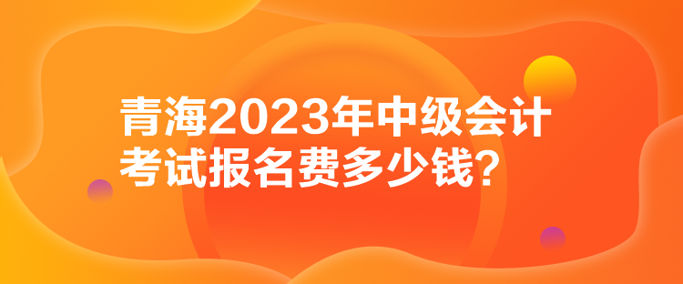 青海2023年中級(jí)會(huì)計(jì)考試報(bào)名費(fèi)多少錢(qián)？