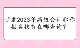 甘肅2023年高級會(huì)計(jì)職稱報(bào)名狀態(tài)在哪查詢？