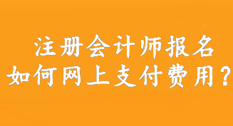 注冊(cè)會(huì)計(jì)師報(bào)名如何網(wǎng)上支付費(fèi)用？