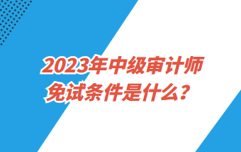 2023年中級審計(jì)師免試條件是什么？