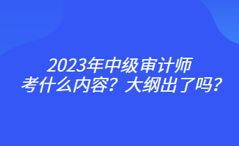 2023年中級審計師考什么內(nèi)容？大綱出了嗎？