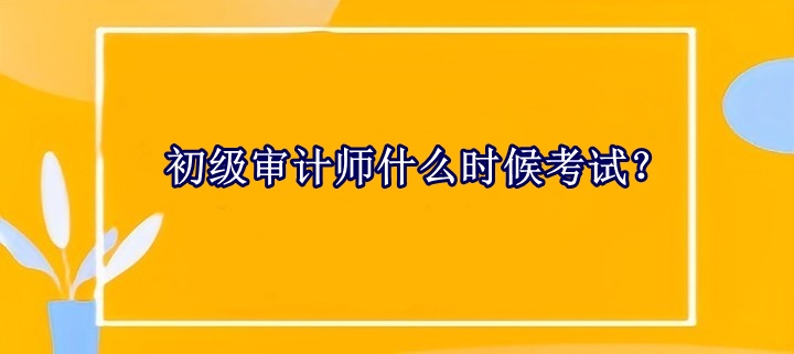 初級(jí)審計(jì)師什么時(shí)候考試？