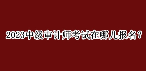 2023中級(jí)審計(jì)師考試在哪兒報(bào)名？