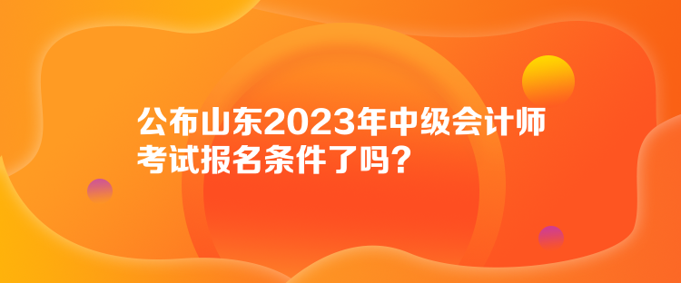 公布山東2023年中級會計(jì)師考試報(bào)名條件了嗎？