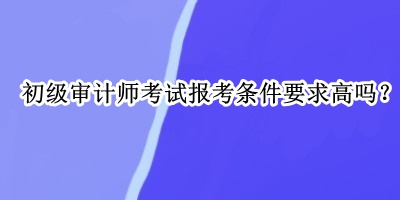 初級審計師考試報考條件要求高嗎？