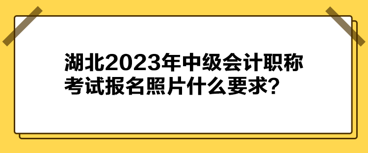 湖北2023年中級會計職稱考試報名照片什么要求？