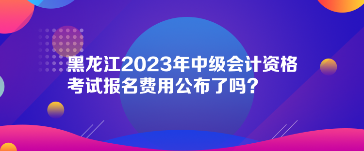 黑龍江2023年中級會計資格考試報名費用公布了嗎？