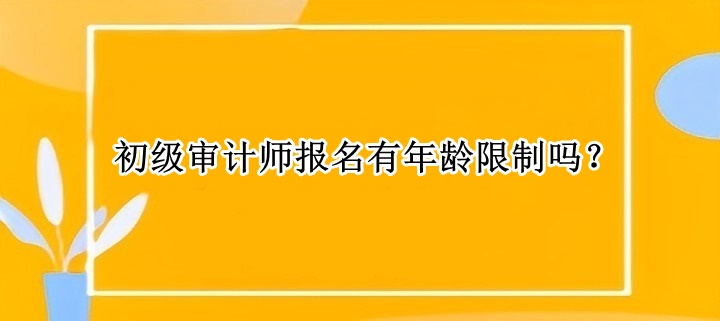 初級審計師報名有年齡限制嗎？