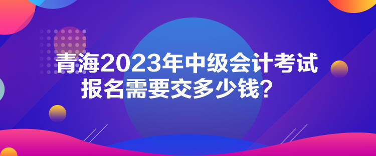 青海2023年中級會計(jì)考試報(bào)名需要交多少錢？