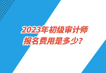 2023年初級(jí)審計(jì)師報(bào)名費(fèi)用是多少？