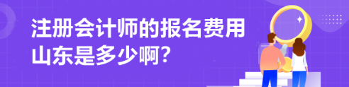 注冊會計師的報名費用山東是多少啊？