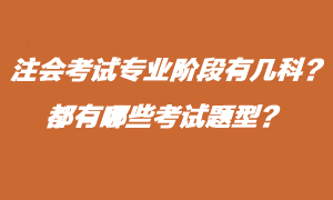 注會考試專業(yè)階段有什么考試題型？