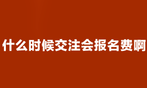 注會考試報名成功了 什么時候交費??？