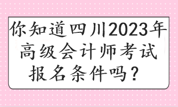 你知道四川2023年高級會計師考試報名條件嗎？