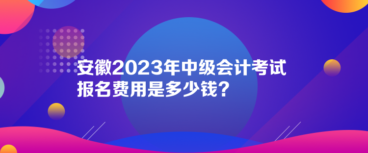 安徽2023年中級(jí)會(huì)計(jì)考試報(bào)名費(fèi)用是多少錢？