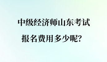 中級經(jīng)濟師山東考試報名費用多少呢？