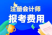 2023年天津市注冊(cè)會(huì)計(jì)師考試報(bào)名費(fèi)是多少啊？