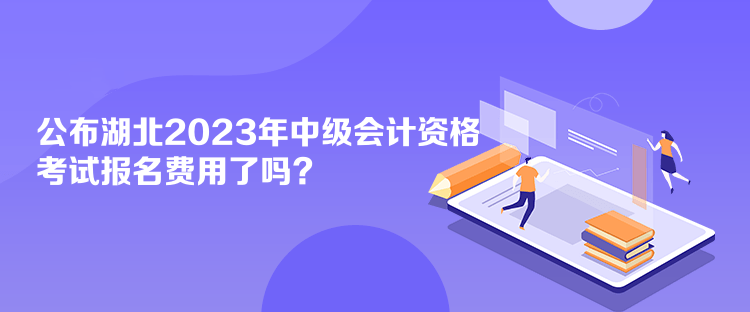 公布湖北2023年會(huì)計(jì)中級(jí)資格考試報(bào)名費(fèi)用了嗎？