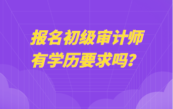 報(bào)名初級(jí)審計(jì)師有學(xué)歷要求嗎？