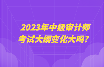 2023年中級(jí)審計(jì)師考試大綱變化大嗎？