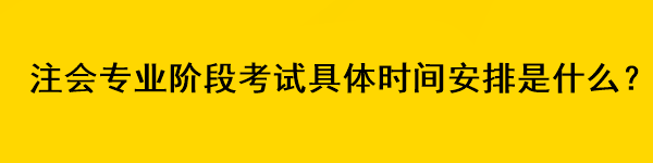 注會專業(yè)階段考試具體時間安排是什么？