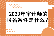 2023年審計師的報名條件是什么？