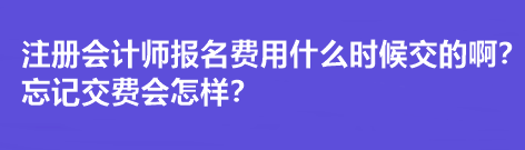 注冊(cè)會(huì)計(jì)師報(bào)名費(fèi)用什么時(shí)候交的?。客浗毁M(fèi)會(huì)怎樣？