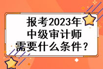 報(bào)考2023年中級(jí)審計(jì)師需要什么條件？