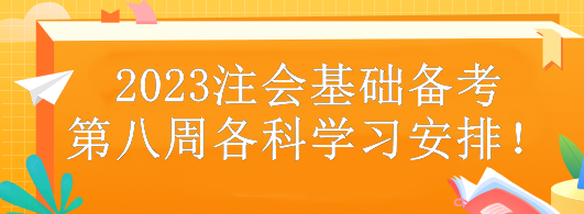 2023注會(huì)基礎(chǔ)備考第八周各科學(xué)習(xí)安排！