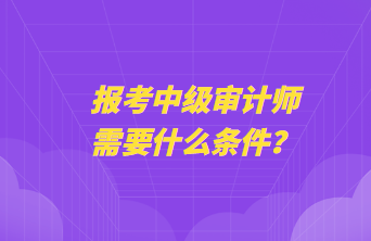 報考中級審計師需要什么條件？