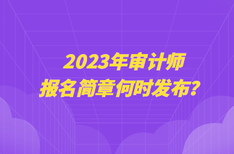 2023年審計(jì)師報(bào)名簡(jiǎn)章何時(shí)發(fā)布？