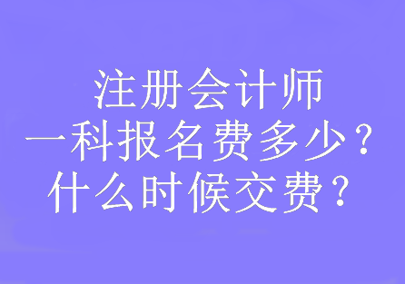 注冊會計師一科報名費(fèi)多少？什么時候交費(fèi)？