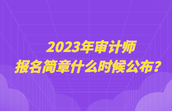 2023年審計師報名簡章什么時候公布？