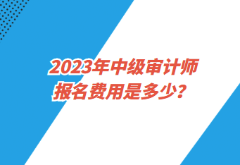 2023年中級審計師報名費用是多少？