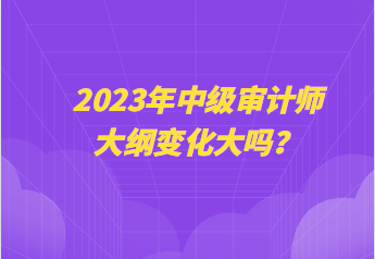 2023年中級審計師大綱變化大嗎？