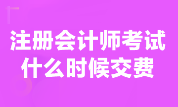 現(xiàn)在可以交注冊(cè)會(huì)計(jì)師報(bào)名費(fèi)嗎？