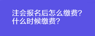 注會(huì)報(bào)名后怎么繳費(fèi)？什么時(shí)候繳費(fèi)？