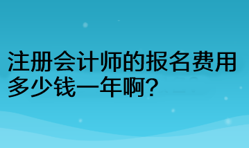 注冊(cè)會(huì)計(jì)師的報(bào)名費(fèi)用多少錢一年啊？