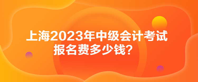 上海2023年中級(jí)會(huì)計(jì)考試報(bào)名費(fèi)多少錢？