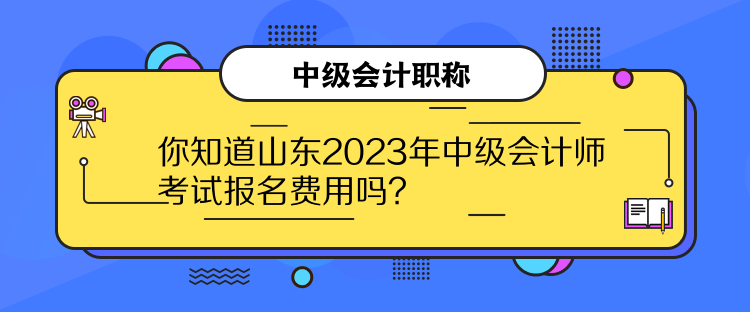 你知道山東2023年中級(jí)會(huì)計(jì)師考試報(bào)名費(fèi)用嗎？