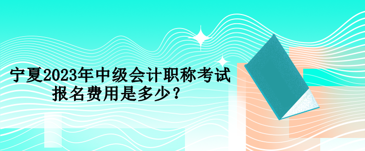 寧夏2023年中級會計職稱考試報名費用是多少？