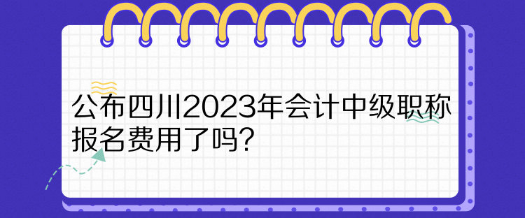 公布四川2023年會(huì)計(jì)中級(jí)職稱報(bào)名費(fèi)用了嗎？