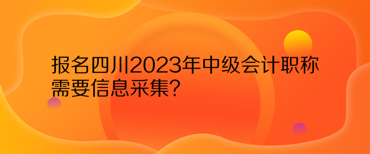 報名四川2023年中級會計職稱需要信息采集？