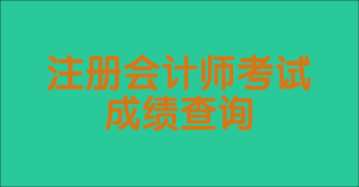 2023年注冊會計(jì)師成績查詢時間是幾號？怎么查的？