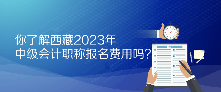 你了解西藏2023年中級(jí)會(huì)計(jì)職稱報(bào)名費(fèi)用嗎？