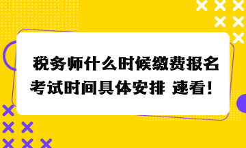 稅務(wù)師什么時候繳費報名考試時間具體安排 速看！